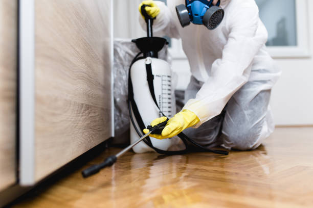 Best Rat Extermination Near Me  in Moonachie, NJ