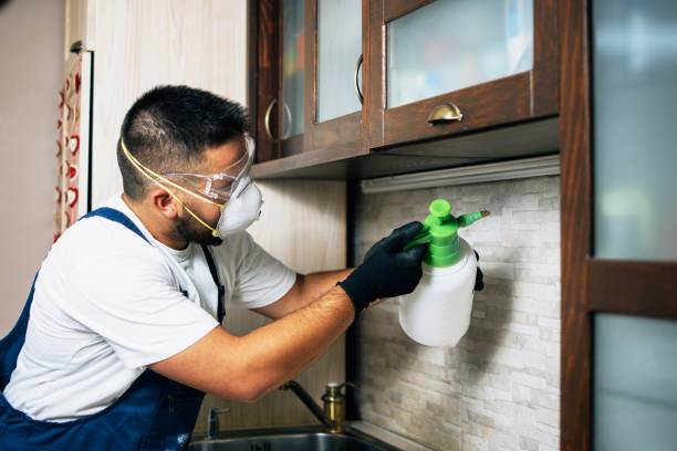 Best Exterminator Services  in Moonachie, NJ