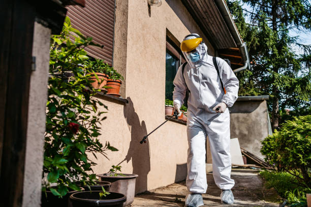 Best Pest Control for Businesses  in Moonachie, NJ