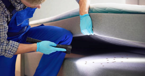 Best Pest Control Near Me  in Moonachie, NJ