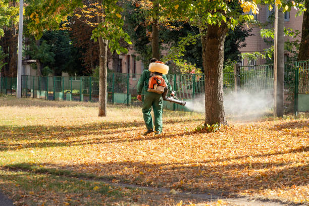Trusted Moonachie, NJ Pest Control Experts