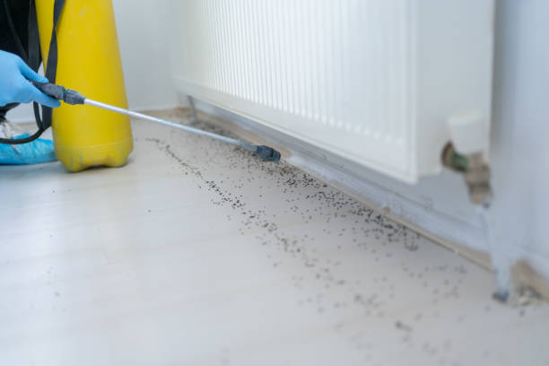 Best Commercial Pest Control Services  in Moonachie, NJ